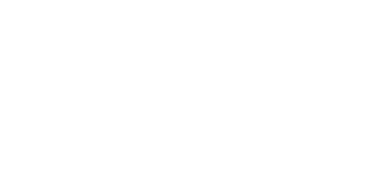 Ebay (1)